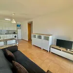 Marina 6